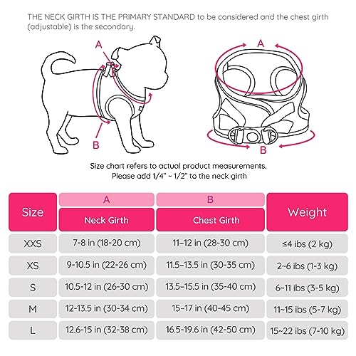 BELLA & PAL Dog Harness and Leash Set, Step-in Puppy Harness, Breathable Air Mesh with Reflective Strips - Image 2