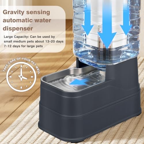 1.6 Gallon Pet Automatic Dog Water Dispenser Cat Gravity Waterer Feeder with Stainless Steel Bowl 8L Large Capacity Puppy Feeding Raised Bowls with Filter,Ice Pack (Charcoal Gray, 6L(1.6 Gallon)) - 5