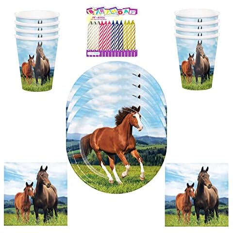 Horse and Pony Birthday Party Supplies Pack Serves 16: Horse and Pony Party Supplies Dinner Plates Luncheon Napkins and Cups with Birthday Candles (Bundle for 16) Cover