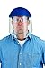 3M Face Shield (1 Pack)