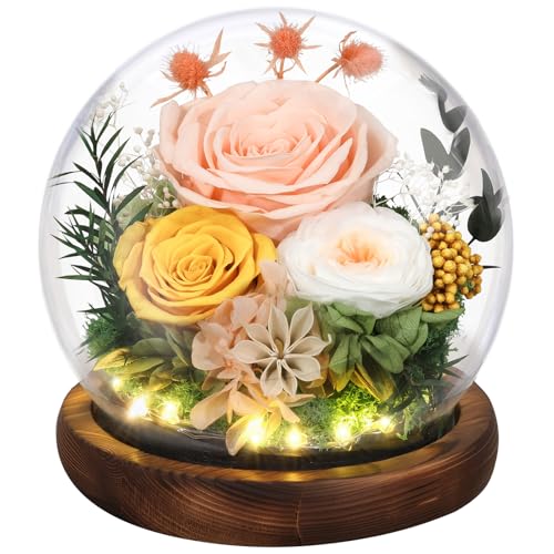 Emibele Regalo de Rosa Eterna para el Día de la Madre, Rosa Real Preservada en Domo de Vidrio con Luz LED, Flores para Entrega, Regalo para Mujer, Esposa, Cumpleaños, Aniversario, Champán