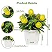 Yoratee 4pcs Artificial Lemon Plants Fake Fruit Potted Plant 6inches Fake Lemons Tree with Small Pot Mini Fake Plant for Indoor Outdoor Home Bathroom Decor