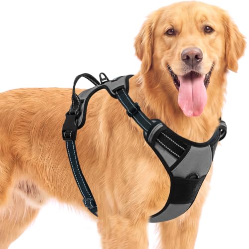 BARKBAY Dog Harness for Small Sized Dog No Pull 2 Leash Clips Dog Vest