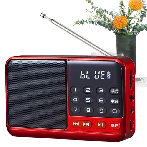 Radio AM FM avec haut-parleur LED et son clair pour connexion téléphone et ordinateur