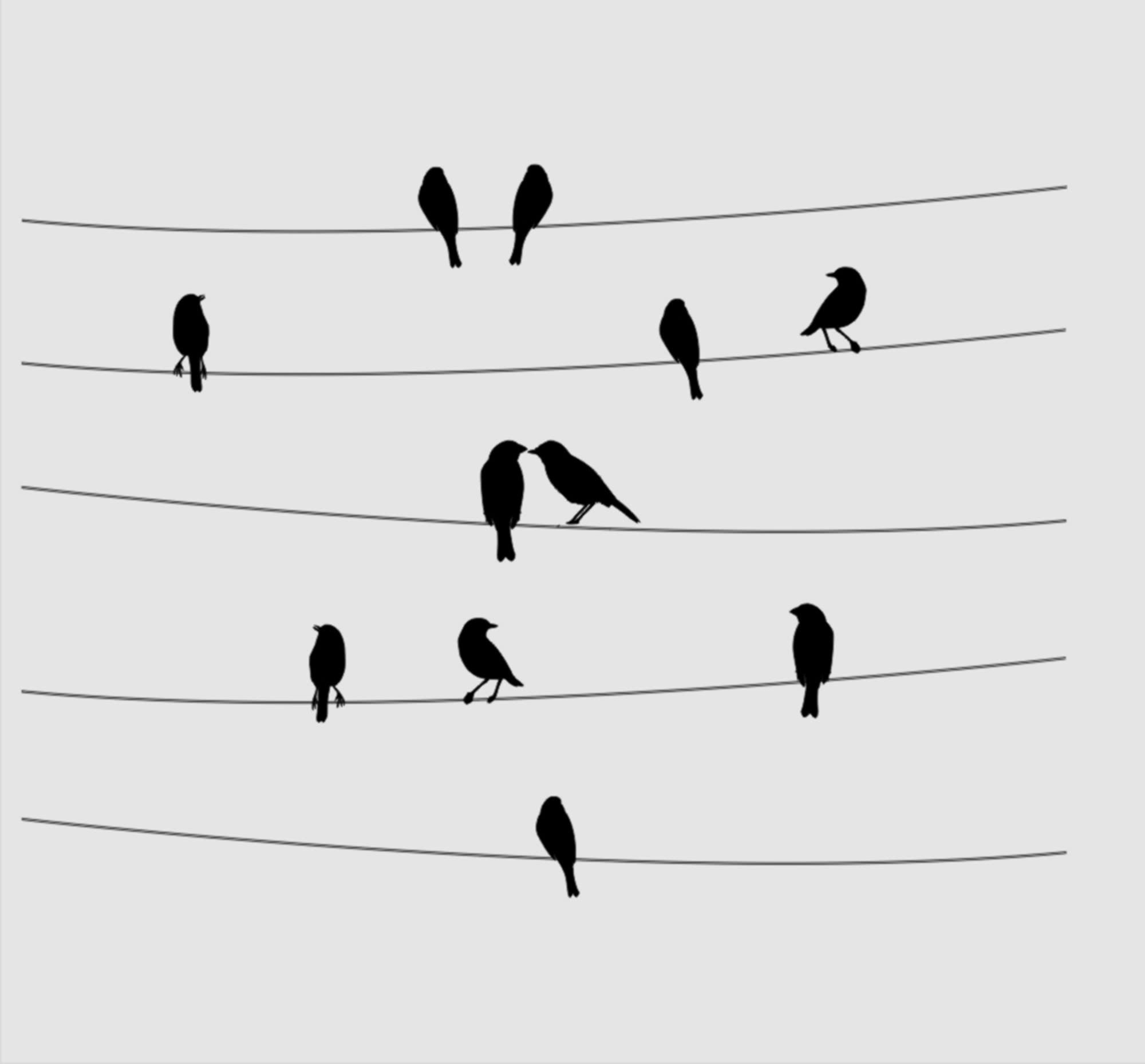 Birds in Lines Reusable Stencil A3 A4 A5 & Bigger Sizes Romantic Modern / Bird119 (PVC Reusable Stencil, A4 Size - 210 x 297 mm, 8.3 x 11.7 in)