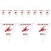 Beistle Crawfish Boil Pennant Banner, 10 by 12-Feet, White/Red (Value 3-Pack)