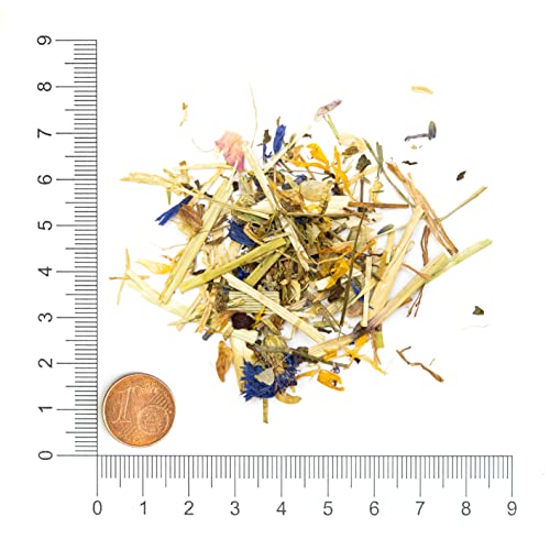 Krauterie Sommerkräuter Pferd in Spitzenqualität (3000 g), Sommer Kräuter für Pferde, Saisonkräuter als Bestandteil artgerechter Fütterung, frei von Zusatzstoffen, aus Liebe zu Deinem Pferd
