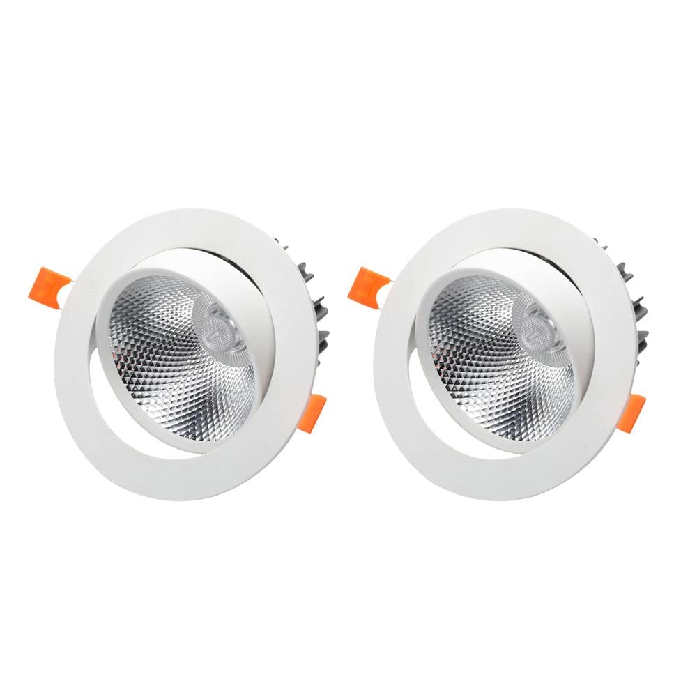 Spotlight LED accenture éclairage orientable plafonnier encastrable blanc 3000K