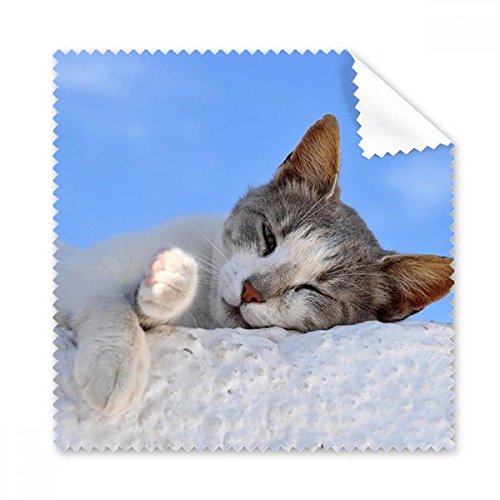 Chiffon de nettoyage pour écran téléphone portable et lunettes - Tissu microfibre animal 5pcs