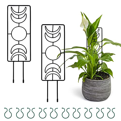 Plant Supports for Indoor Plants Moon Phase Trellis for Climbing Plants ...