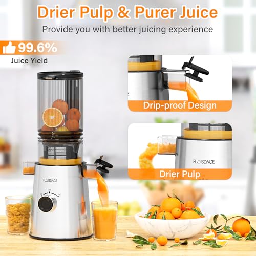 Cold Press Juicer, Masticating Juicer with Large Feed Chute Fit Whole Fruits & Vegetables,Stainless Steel Slow Masticating Juicer Easy to Clean, 99.6% Juice Purity, Metallic Silve - Image 3