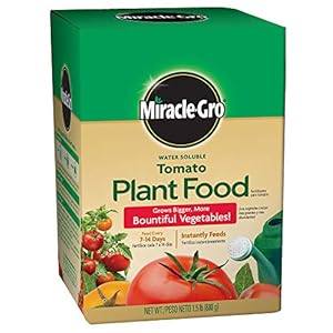 Miracle-Gro Water Soluble Tomato Plant Food