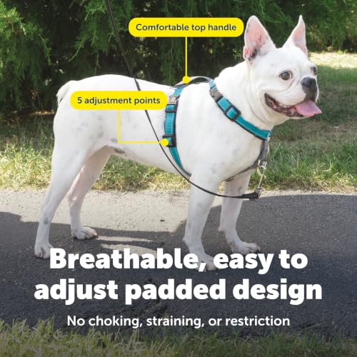 Image of PetSafe Teal 3-in-1 Harness, Small