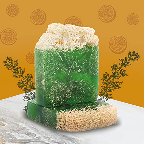 The Soap Factory Natural Loofah Lemon-Thyme-Flax Seed-Apricot Soap Bar 4.23 Oz (120 G) - Vegan-Friendly - Luxury - Eco-Friendly - For All Skin Types - Excellent Skin Care - Herbal #TOP5