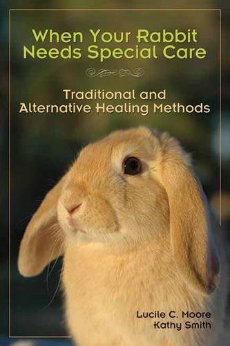 When Your Rabbit Needs Special Care: Traditional And Alternative Healing Methods #TOP3