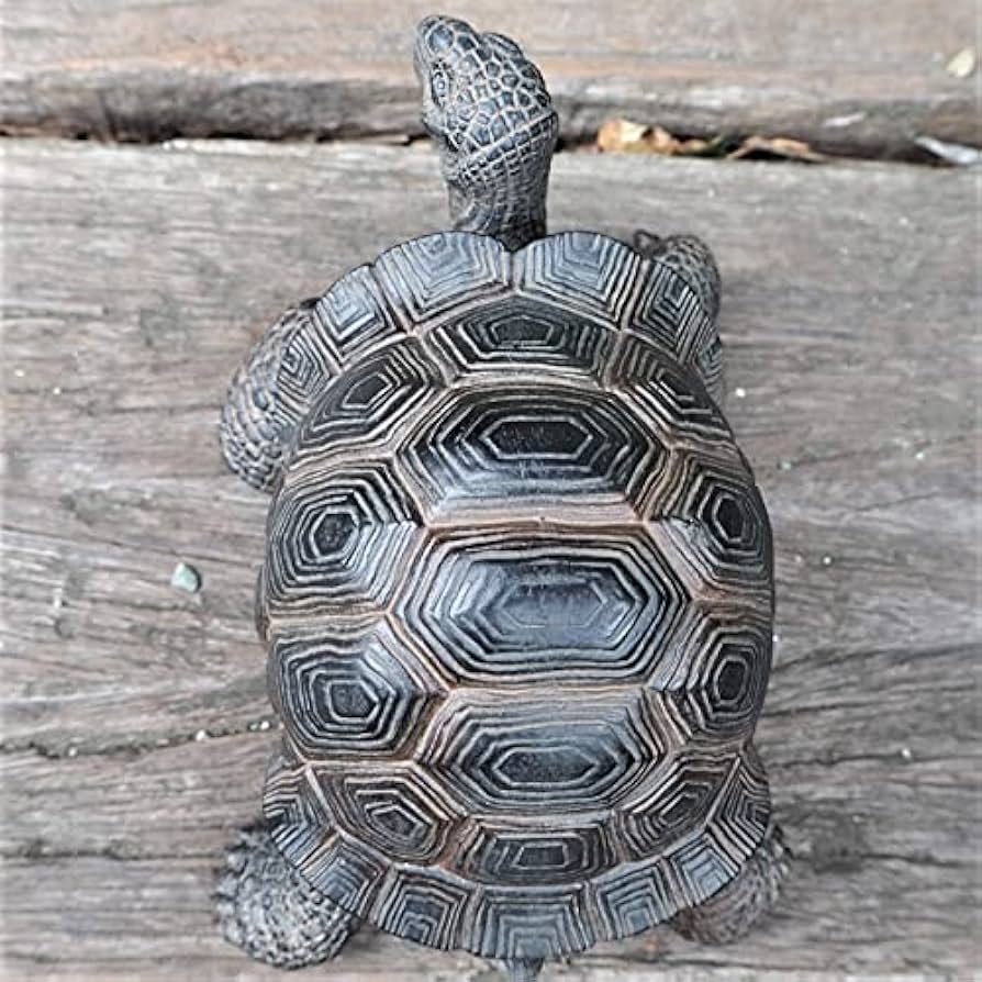 亀の置物 Amazon.co.jp: ZHIZHUO 亀の置物 カメ かわいい 置物 金の亀