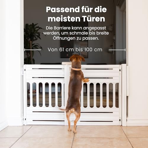 Iris Ohyama, Sicherheitszaun aus Kunststoff, einfach zu montieren und zu reinigen, Absperrgitter für Haustiere, L64 x B61 x H5 cm, Einheit, BPA-frei, kein Bohren, PBR-600, Hunde, Weiß/Mandel
