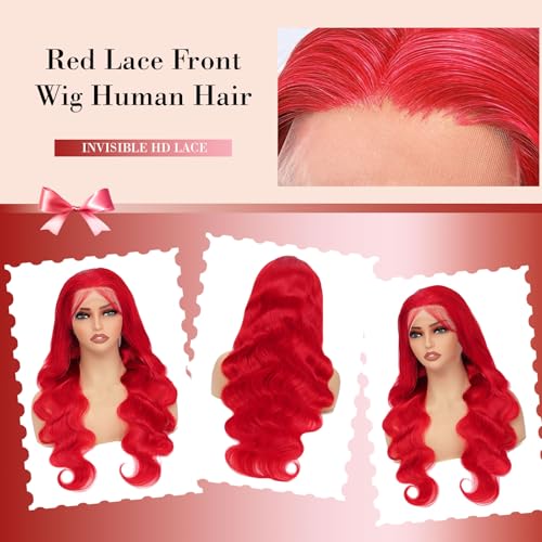 AAY Red Human Hair Wig 200 Density Body Wave 13x4 HD Lace Frontal Wigs Human Hair Colored Red Lace Front Wigs Human Hair Pre Plucked with Baby Hair Real Hair Wigs for Women Glueless 24 Inch