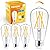 Hizashi LED Edison Bulbs, 6W, Equivalent 60W, Dimmable E26 LED Bulb, 3000K Soft White, 95+ CRI 700 Lumens, ST19 Vintage Light Bulbs, Clear Glass, Pack of 4