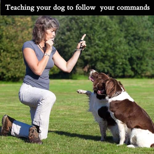 Bmhnoone Dog Whistle To Stop Barking thumb #2