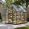 HOOYEAH 6 x 6 FT Polycarbonate Greenhouse for Outdoors, Heavy Duty Walk-in Greenhouses with Roof Air Vent, Aluminum Outdoor Green House Kit, Winter Garden House for Outside Backyard #2