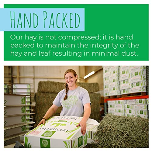 Small Pet Select 2Nd Cutting Perfect Blend Timothy Hay Pet Food For Rabbits, Guinea Pigs, Chinchillas And Other Small Animals, Premium Natural Hay Grown In The Us, 20 Lb #TOP3
