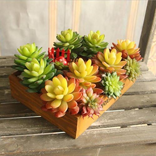 Amazon Co Jp F Fityle 人工多肉植物リアルタッチ石蓮の花紅葉植物黄赤 ホーム キッチン