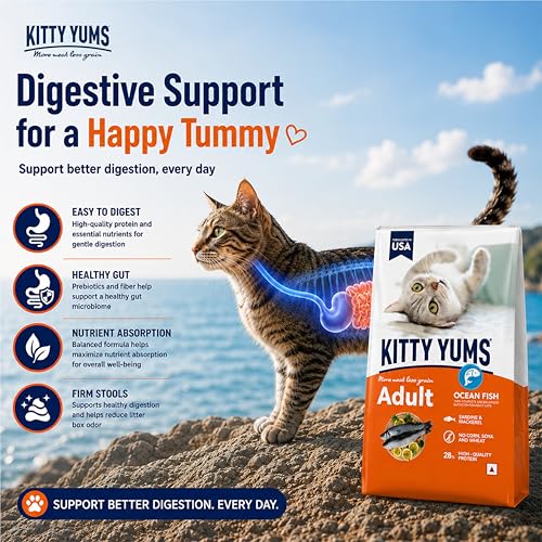Image of Kitty Yums Adult (+1 Year) Dry Cat Food 1.2kg Pack | Ocean Fish Flavour | Develop Strong Bones | Healthy Skin & Coat | Supports Digestive System | Maintains a Healthy Heart