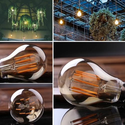 Ampoule LED Vintage E27 Variable avec filament haut rendement 8W - 5