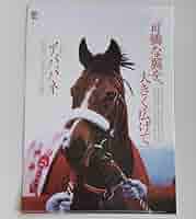 【非売品】JRA ヒーロー列伝 クリアファイル　4枚セット JRA クリアファイル4枚セット 競馬グッズ ヒーロー列伝 非売品