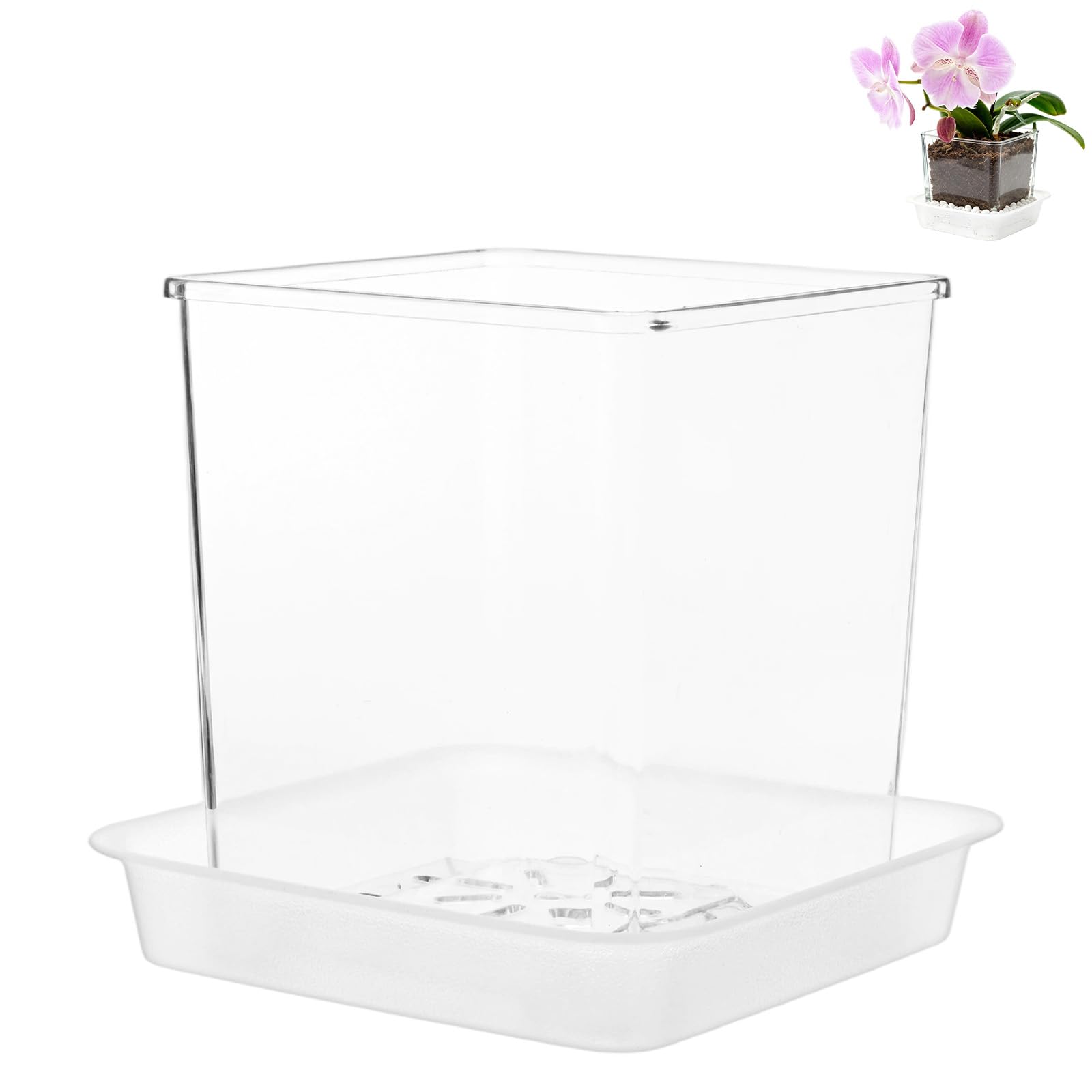 M METERXITY 2-Set Clear Plant Nursery Pots, 6 Inch Acrylic Transparent Planter Orchid Pots with Drainage Holes and Trays for Indoor/Home/Office/Succulents/Herbs/Flowers [Clear]