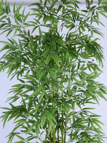 Image of ARICK DECOR 7Ft Artificial Bamboo Tree in Pot, 7ft Realistic Faux Bamboo Silk Plant with Natural Look Canes, Peacock Shaped Extra Large Floor Decor for Home, Office & Balcony