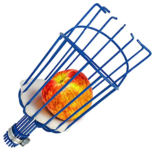 Cueille Fruit Telescopique, Cueilleurs de Fruits, Ramasse Fruit Métal, Outil de Cueillette Jardin, Collecte Outils Griffe Tête avec Manche Telescopique 1.6 / 2.4 / 3.6m Pommes Poires Darbre (Ø 145mm)