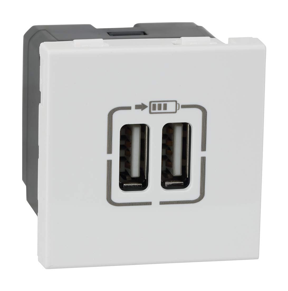 ด้านหน้าทำมุม view ภาพของโมดูลชาร์จ USB Legrand Arteor ซึ่งแสดงพอร์ต USB-A สองพอร์ต