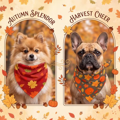Image of Abbylike 50 Pcs Fall Dog Bandanas Bulk, Autumn Harvest Pumpkin Pattern