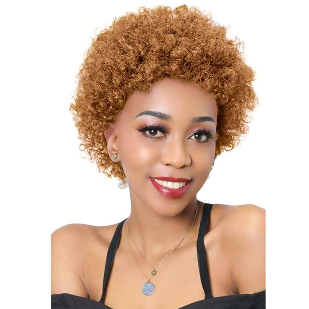 YEESHEDOAfro Curly Human Hair Short Wigs for Women Brown-blonde color,Full and Fluffy Machine Made Wig Human Hair Pixie Cut Natural Looking Glueless Hair Replacement Wig