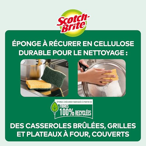 Scotch Brite Classic Éponge Vaisselle Grattante, 6 + 2 Gratuites par lot - Élimine la Graisse et Idéal Pour Essuyer les Éclaboussures