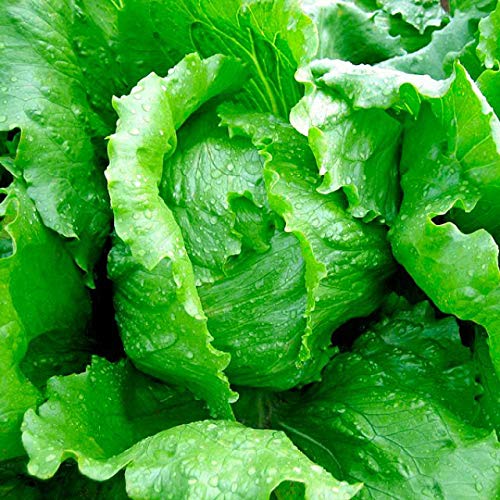 knstlicher stoff Grasgr&uuml;n Kunstpelz Kaninchen Fell Stoff Pl&uuml;sch Stretch Meterware  Stoffe  Stoffstrasse