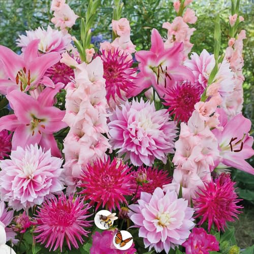 Bulbi da Fiore | Bulbi provenienti dai migliori produttori Olandesi | Esclusiva selezione e controllo qualità | Fioritura garantita. (15 Bulbi RESPECT NATURE PINK CARPET)