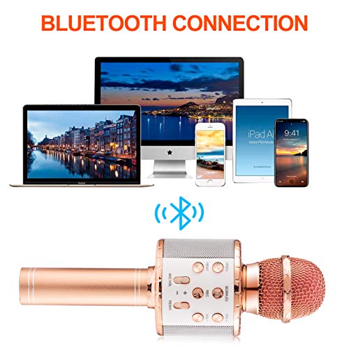 Fede Karaoke Bluetooth FM920506