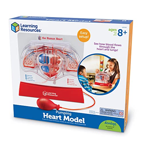 Image of Learning Resources Pumping Heart Model - Science Classroom Must Haves, STEM Student Essentials, Practice Anatomy, Cardiology Artery and Veins Study Tools, Back to School Supplies for Teachers