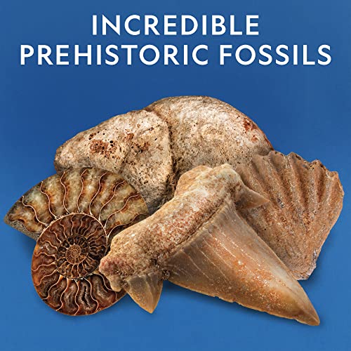 National Geographic Rock Collection Box for Kids – 300 Piece Rock Set with Real Fossils, Gemstones, and Crystals- Includes Absolute Expert: Rocks & Minerals Full-Color Book - Image 6