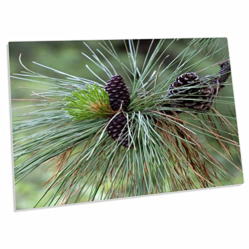 3Drose Pinecones, Ponderosa Pine Tree, Idaho - Us13 Dfr0832 -. - Desk Pad Place Mats (Dpd-90047-1) #TOP1