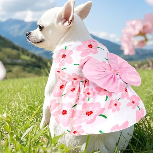 choyaxo Floral Dog Dress Cute Dog Skirt Pet Dress Summer Pet Clothes for Puppy Small Cats,S - Image 5
