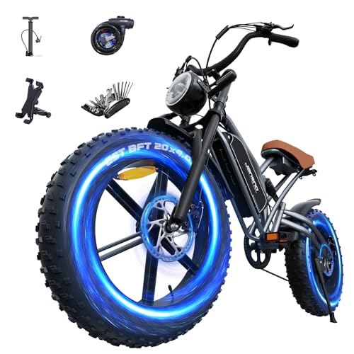 Electric Bike 20