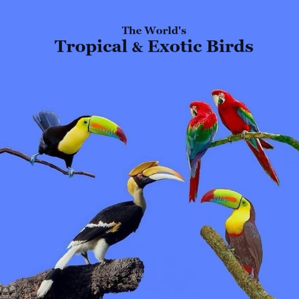 Tropical and Exotic Birds of the World Kids Book: Great Way for Kids to Meet the World's Tropical and Exotic Birds