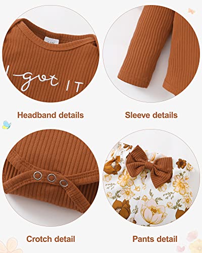 Image of DISAUR Baby Girls Clothes Newborn Infant Baby Girls Outfit Long Sleeve Ruffle Romper Floral Pants Headband Sets 0-18 Months