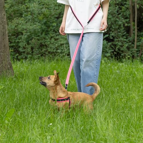 Laisse pour chien réglable idéale pour la promenade en ville - 4