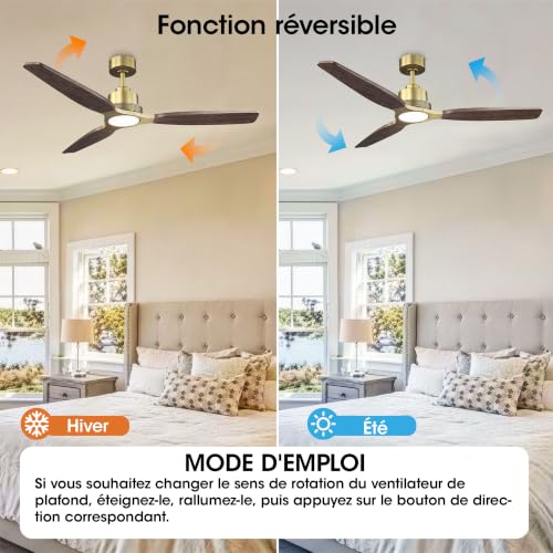 Parrot Uncle Ventilateur de Plafond avec éclairage 122cm, Cct Modulable 3000/4000/6000k, Moteur DC Silencieux 35w, 6 Vitesses, Fonction été-Hiver, Télécommande, Pales en Bois Massif four Chambre Salon – vue 6