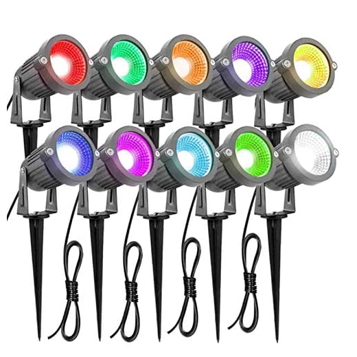 Trädgårdsbelysning 5W RGB Fjärrkontroll LED Landskapslampor 12V 24V Lågspänning Trädgårdsbelysning med transformator (Color : Colorful)